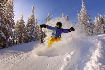 Snowboarder doing a toe side carve