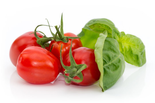 Tomaten mit grünem Basilikum freigestellt auf weißem Hintergrund