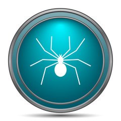 Spider icon