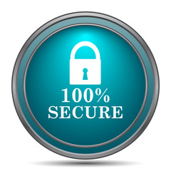 100 percent secure icon