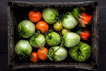 Box with tomatoes, top view