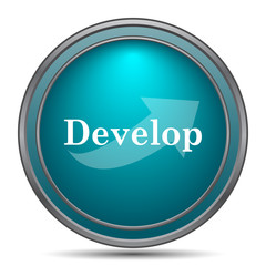 Develop icon