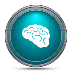 Brain icon