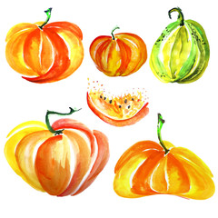 Pumpkin watercolor. Set on an isolated white background. The fruits of the pumpkin-orange, green, pumpkin pieces, pumpkin seeds 