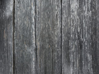 Old wooden planks texture