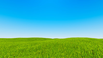 Landscape green grass blue sky 3d rendering