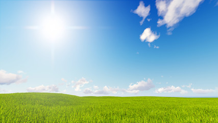Fototapeta na wymiar landscape green grass blue sky 3d rendering