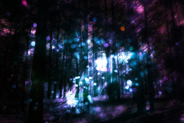 Obraz premium Fantasy Starry Forest