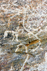 pitted stone texture