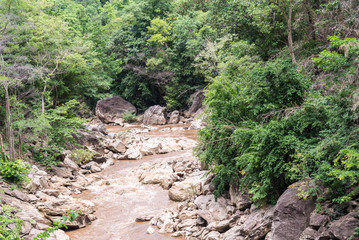 Stream flowing in forest.
