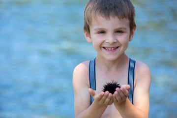 Cute child, holding sea urchin on the beach