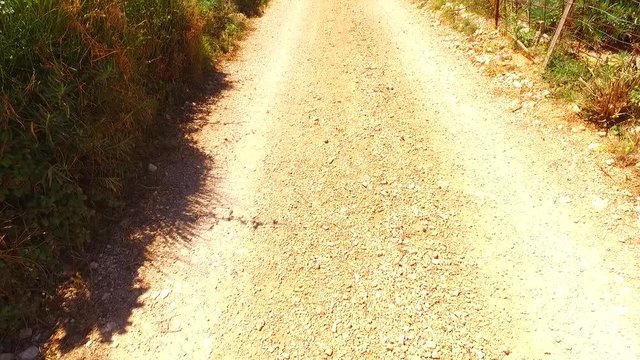 On the dusty and warm path on island of Rab, Croatia, Europe. Hot summer day to walk in the middle of deserted island.