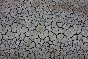 The Dry cracked ground surface for background.
