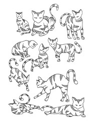 Beetle deer. Horned Beetle. Big. Insect. Set. Line art. Black and white drawing by hand. Graphic arts. Doodle. Tattoo. Lucanus cervus.