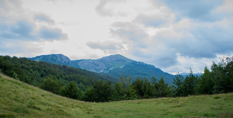 Fototapeta premium Field with mountains in the back