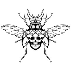 Beetle deer. Horned Beetle. Big. Insect. Set. Line art. Black and white drawing by hand. Graphic arts. Doodle. Tattoo. Lucanus cervus.