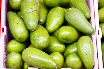 Bunch of green Avocados.