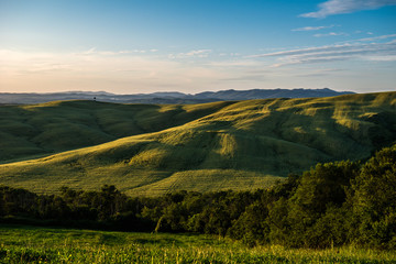 Fototapeta premium Tuscan countryside