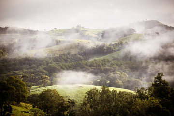 Atherton Tablelands on a Misty Morning