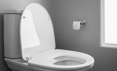 White toilet bowl and bidet in modern design bathroom.