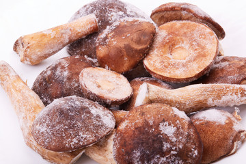 Frozen forest mushrooms