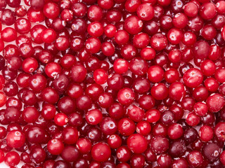 Frozen cranberries