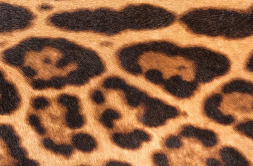 Faux leopard fur