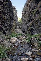 Ручей в темном ущелье