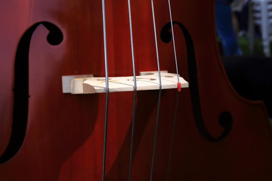 cantastorie musicista