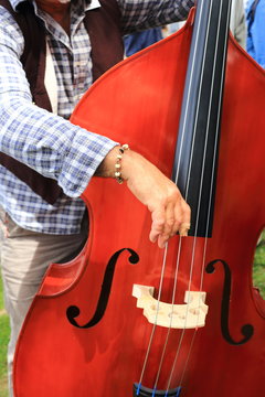 cantastorie musicista