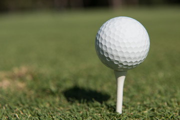 golf ball on tee