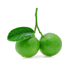 limes with water drops isolated on white.