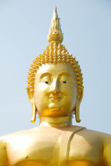 A statue of Buddha Head