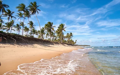 Praia do Forte (Brasil) © Fernando Ghelfi