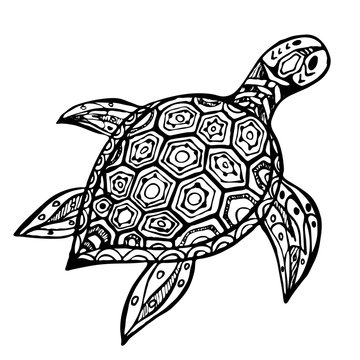 Handgezeichnete imaginäre schwarz/weiße Schildkröte