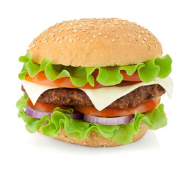 Fresh burger with beef, cheese, onion and tomatoes