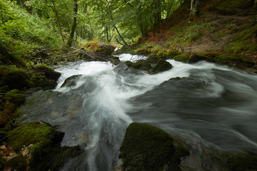 Obraz premium fast flowing rivers in the forests of Montenegro