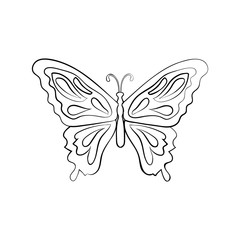 Fototapeta na wymiar Vector sketch butterfly