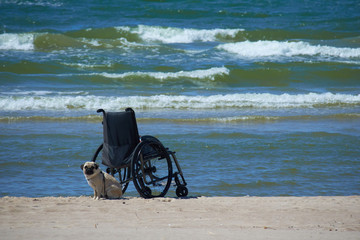 wheelchair on the beach