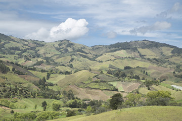 Fototapeta na wymiar Jungle in colombian green mountains, colombia, latin america