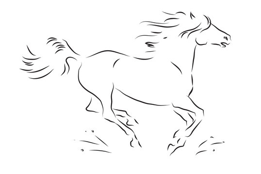 Sketch of silhouette of galloping horse - vector illustration