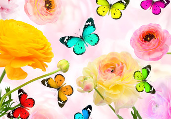 Obraz na płótnie Canvas Colorful beautiful flowers and butterflies flying. Sweet blurred gentle buttercups in the background. Summertime ( springtime) nature and wildlife abstract background
