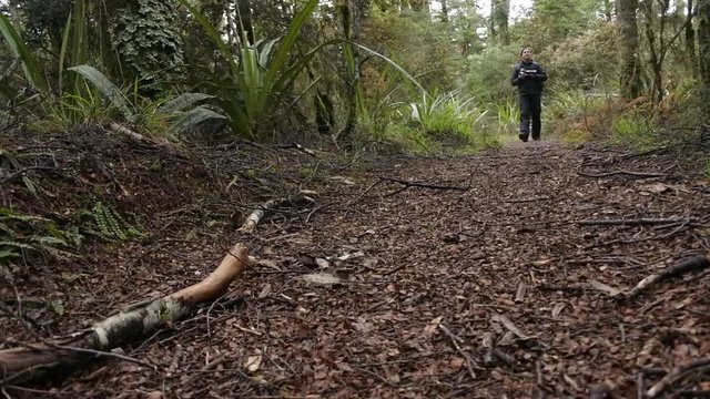 Professional nature, wildlife and travel photographer photographing outdoors during on location photo assignmet in Tongariro National Park rain forest, New Zealand. copy space.