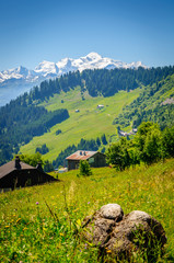 Fototapeta na wymiar Panorama et Mont Blanc