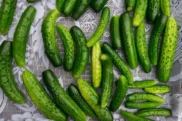 Green cucumbers background. Top View
