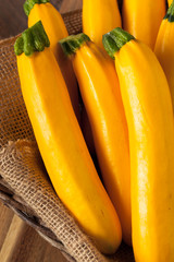 Fototapeta na wymiar Raw Organic Yellow Zucchini Squash