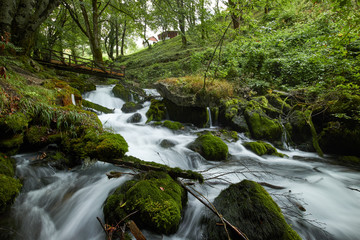 Obraz premium fast flowing rivers in the forests of Montenegro