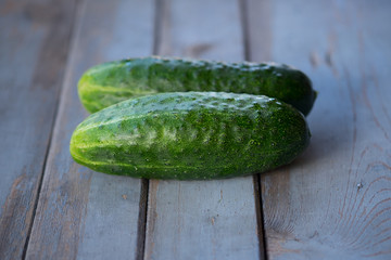 Two cucumbers on wooden background