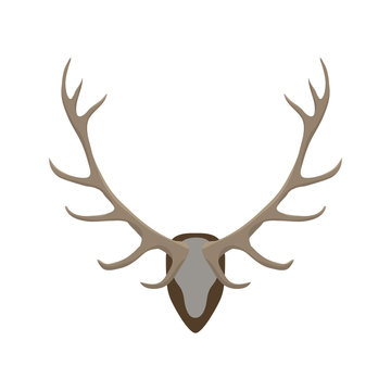 Antlers vector illustration. Deer horns color icon