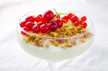 Panna Cotta with Granola and red currant berries in glass